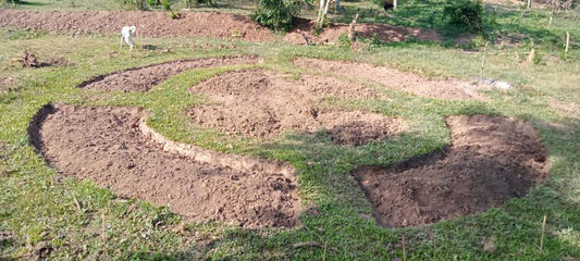 Water Harvesting Structures
