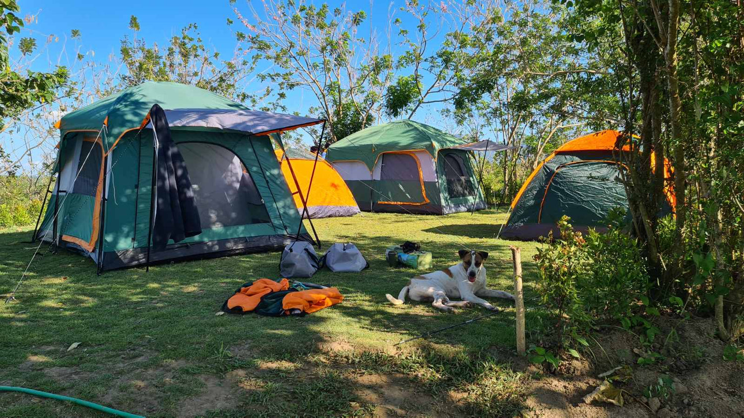 Camping