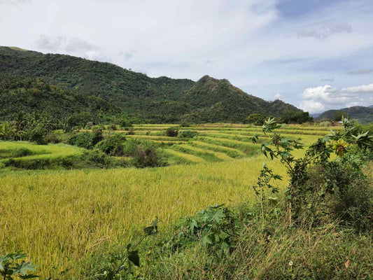 ATV Trail - River and Rice Terraces